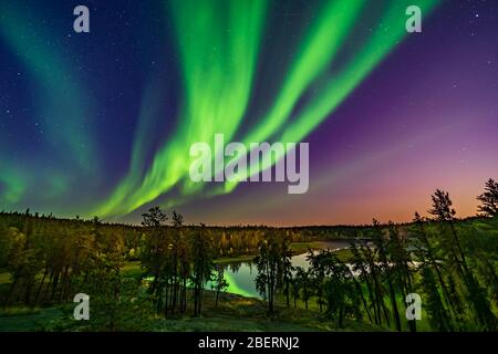 Aurora over Cameron River in moonlight, Canada. Stock Photo