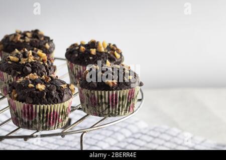 walnut muffins on a grill stand Stock Photo