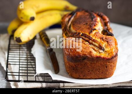 Banana muffin with candied ginger and raisins and bananas on a gray background. Stock Photo