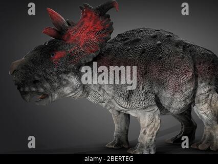 Pachyrhinosaur dinosaur, side view on gray background. Stock Photo