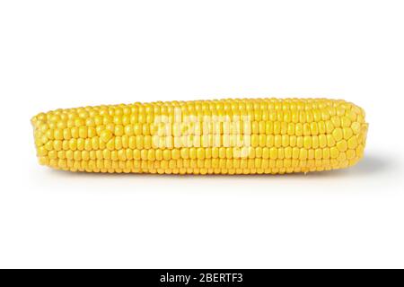 Fresh ripe ear of corn isolated on white Stock Photo