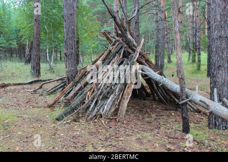 Landscape in the forest overlooking the old hut Stock Photo