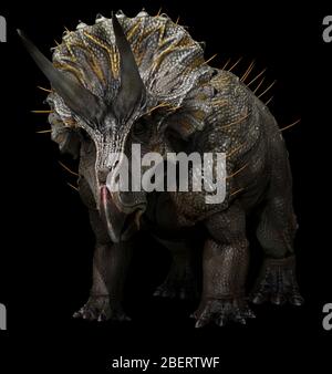 Triceratops horridus dinosaur on black background. Stock Photo