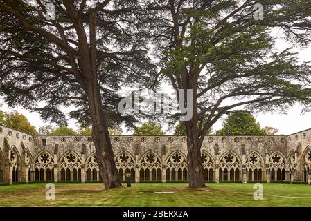 The cross-coat of the cloister close to the Salisbury Cathedral. Stock Photo