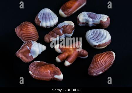 On a black background are chocolate candies in the form of starfish and shells. Stock Photo