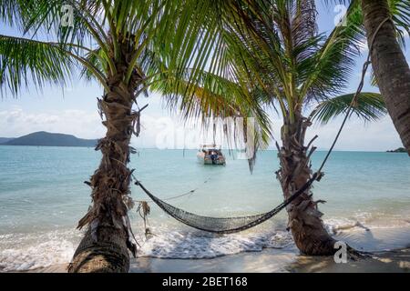 Hammock hanging between palm trees on a tropical beach of the island of Phangan in Thailand.