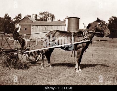 An eight year old farm boy sitting on a horse drawn hay rake, 1915. Stock Photo