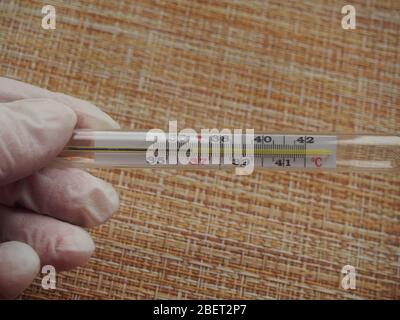 The thermometer shows the normal body temperature. Conducting health ...
