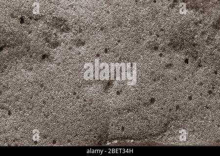 enlarged black and white image of a spongy tissue Stock Photo