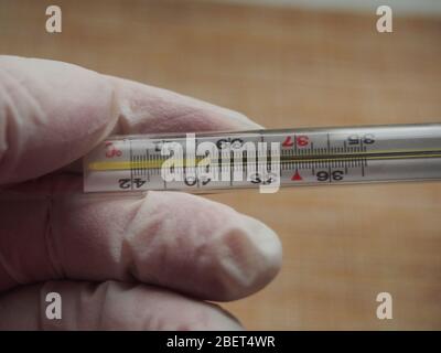 The thermometer shows a high body temperature. Fever. Conducting health diagnostics. 39.6 degrees Celsius.  The thermometer is held by a hand in a rub Stock Photo