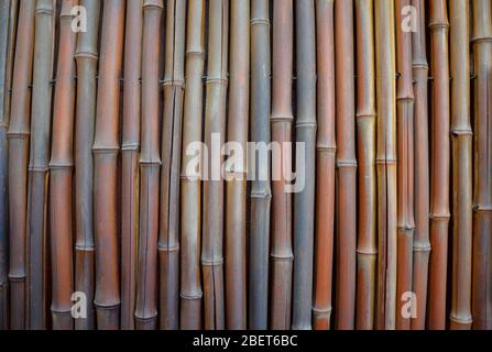 Old weathered bamboo background Stock Photo