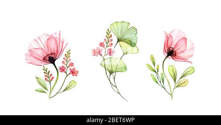 Watercolor Popy floral set. Collection of thee bouquets. Abstract rose, fresia flowers, gingko leaves isolated on white. Botanical set for cards Stock Photo