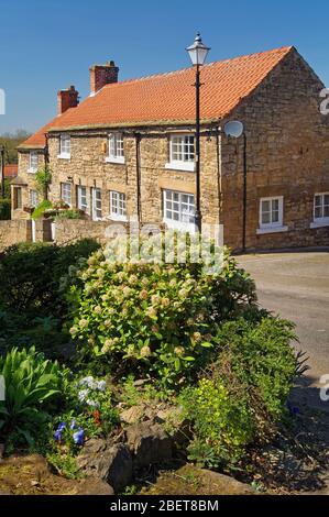 UK,South Yorkshire,Doncaster,Hooton Pagnell,Clayton Lane Cottage Stock Photo
