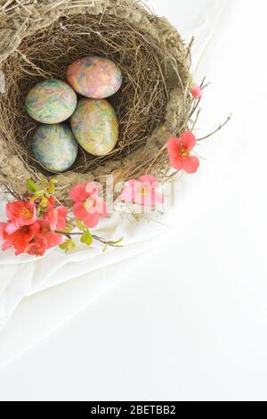 Bird nest with decorated Easter eggs on white background Stock Photo