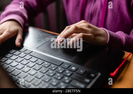 Young caucasian girl in pink sweater at computer while studying online programming at home near the window copy space Stock Photo