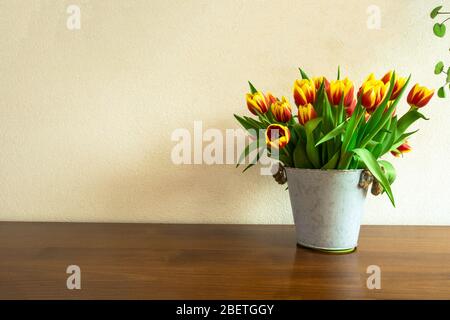 Fresh yellow and red tulips bouquet over wooden table in tin bucket, retro spring background, space for text Stock Photo