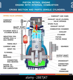 Piston petrol engine, structural cross section in basic design for education Stock Vector