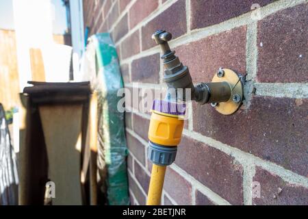 An outdoor garden tap with a hosepipe attached. Stock Photo