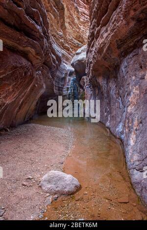 Water stained rocks and reflecting pools in Blacktail Canyon, Grand Canyon National Park, Arizona, USA Stock Photo