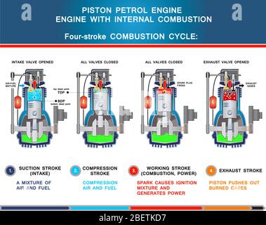 Piston petrol engine, structural cross section and four stroke combustion cycle in basic design for education Stock Vector
