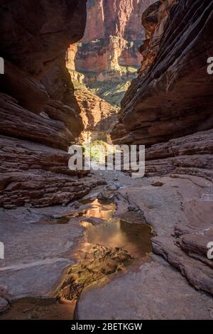 Water stained rocks and reflecting pools in Blacktail Canyon, Grand Canyon National Park, Arizona, USA Stock Photo