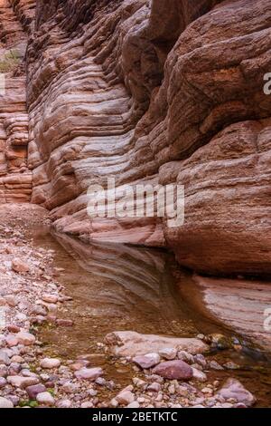 Stream-polished Cambrian Muav Limestone ledges in Matkatamiba Canyon, Grand Canyon National Park, Arizona, USA Stock Photo