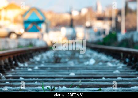 Closeup of old overgrown train tracks full of white pebbles. Blurred outlines of train vagons and surrounding buildings Stock Photo