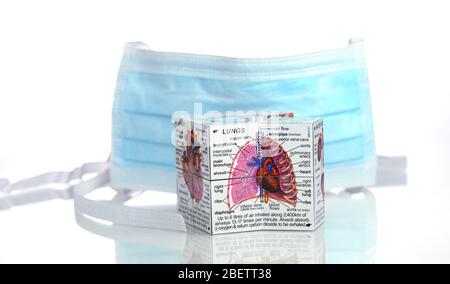 A surgical mask photographed alongside a cube medical diagram of the lungs and heart on a white background with a reflection. Stock Photo