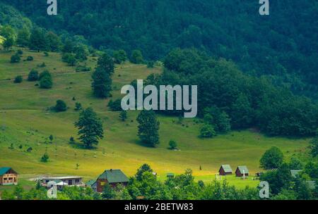 Small village houses in green forest near Tara river gorge canyon, view from Durdevica Tara Bridge, Montenegro Stock Photo