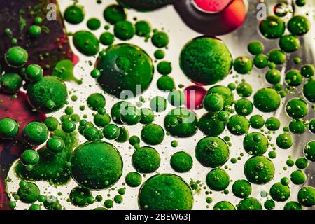 Abstract photo of green bubbles. Creative art photography. Stock Photo