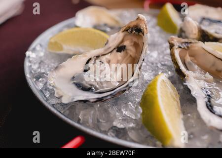 Plate with oysters, lemon and ice Stock Photo