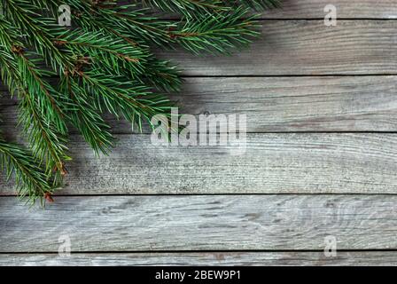 christmas tree branches in the corner of gray wooden background Stock Photo