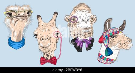 Set of hipster animals. Ostrich Bird in yellow eyeglasses and scarf, Giraffe and Camel in eyeglasses and bowtie, Alpaca in peruvian knitted hat Stock Vector