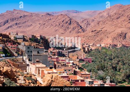 at the Oasis of Tinerhir near Todra Gorge in Morocco Stock Photo