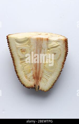 Half cut of Young green jackfruit, Artocarpus heterophyllus isolated against white background Stock Photo