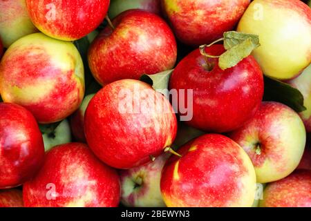 Red apples overhead background. Ripe colorful heirloom apples shot from above Stock Photo