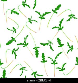 Microgreens Shungiku. Glebionis coronaria, garland chrysanthemum, chop suey green, crown daisy, Japanese-green. Seamless pattern. Isolated on white. V Stock Vector