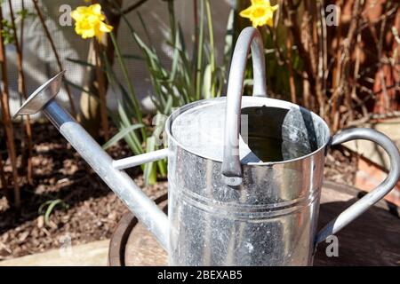 old fashioned style metal watering can in a garden Newtownabbey Northern Ireland UK Stock Photo
