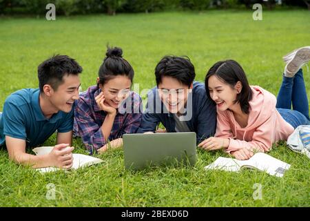 Happy learning of college students on grass Stock Photo