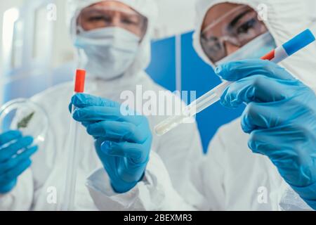selective focus of biochemists holding test tube and petri dish Stock Photo