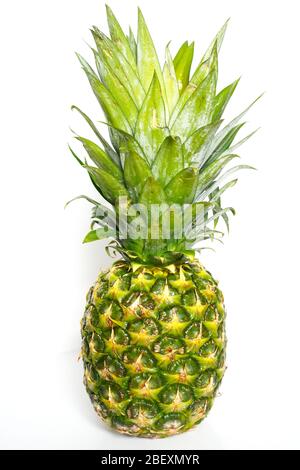 A whole pineapple against a plain white background Stock Photo