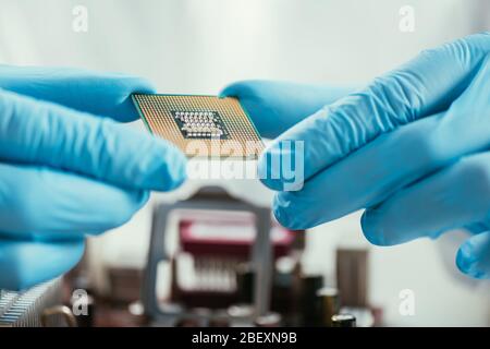 cropped view of engineer in rubber gloves holding computer microchip Stock Photo