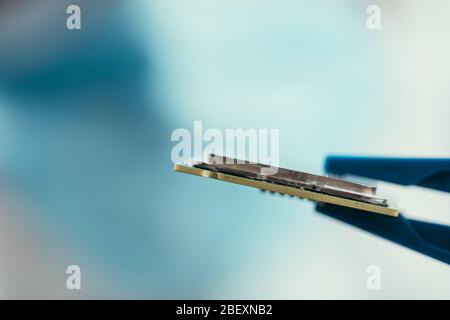 selective focus of tweezers with computer microchip Stock Photo