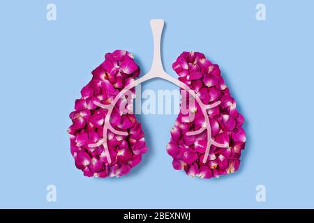 Concept on the fragility of human health. Rose petals in the shape of lungs. Stock Photo