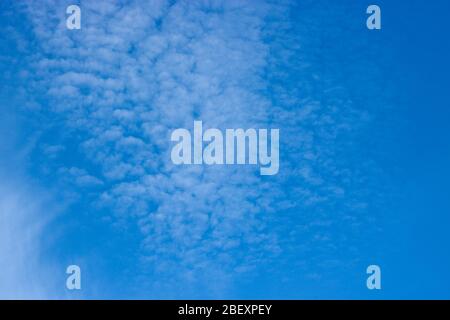 Cirrocumulus clouds in the blue sky. Natural background with copy space for text. Stock Photo