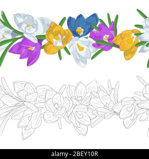 Hand drawn colorful and monochrome crocus flowers seamless brushes. Floral endless borders set. Isolated on white background. Vector illustration Stock Vector