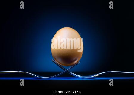 Egg on forks at a low angle view with a spot light on the classic blue background, fine art Stock Photo
