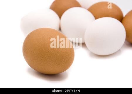 Brown and white eggs isolated on white background Stock Photo
