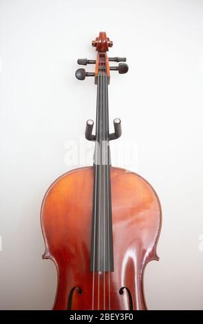 Cello detail close up photograph Stock Photo