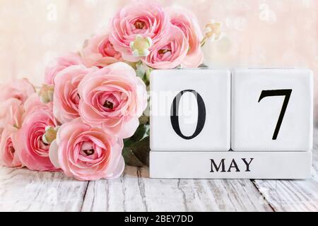 Generic white wood calendar blocks with the date May 7th and pink ranunculus flowers over a wooden table. Selective focus with blurred background. Stock Photo